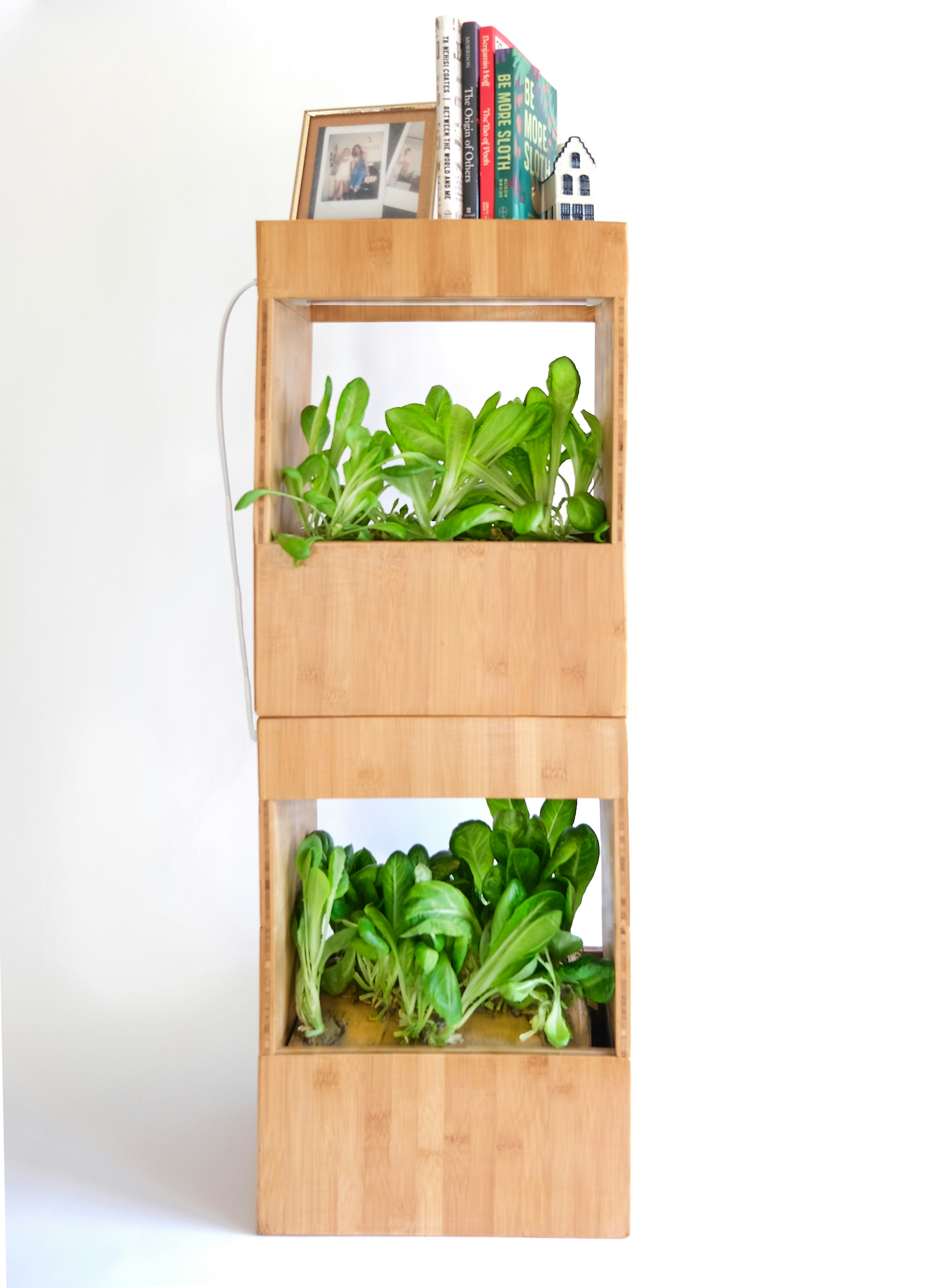 Güd Plant Box - Устойчивый, доступный и продуктивный внутренний сад медиа 1