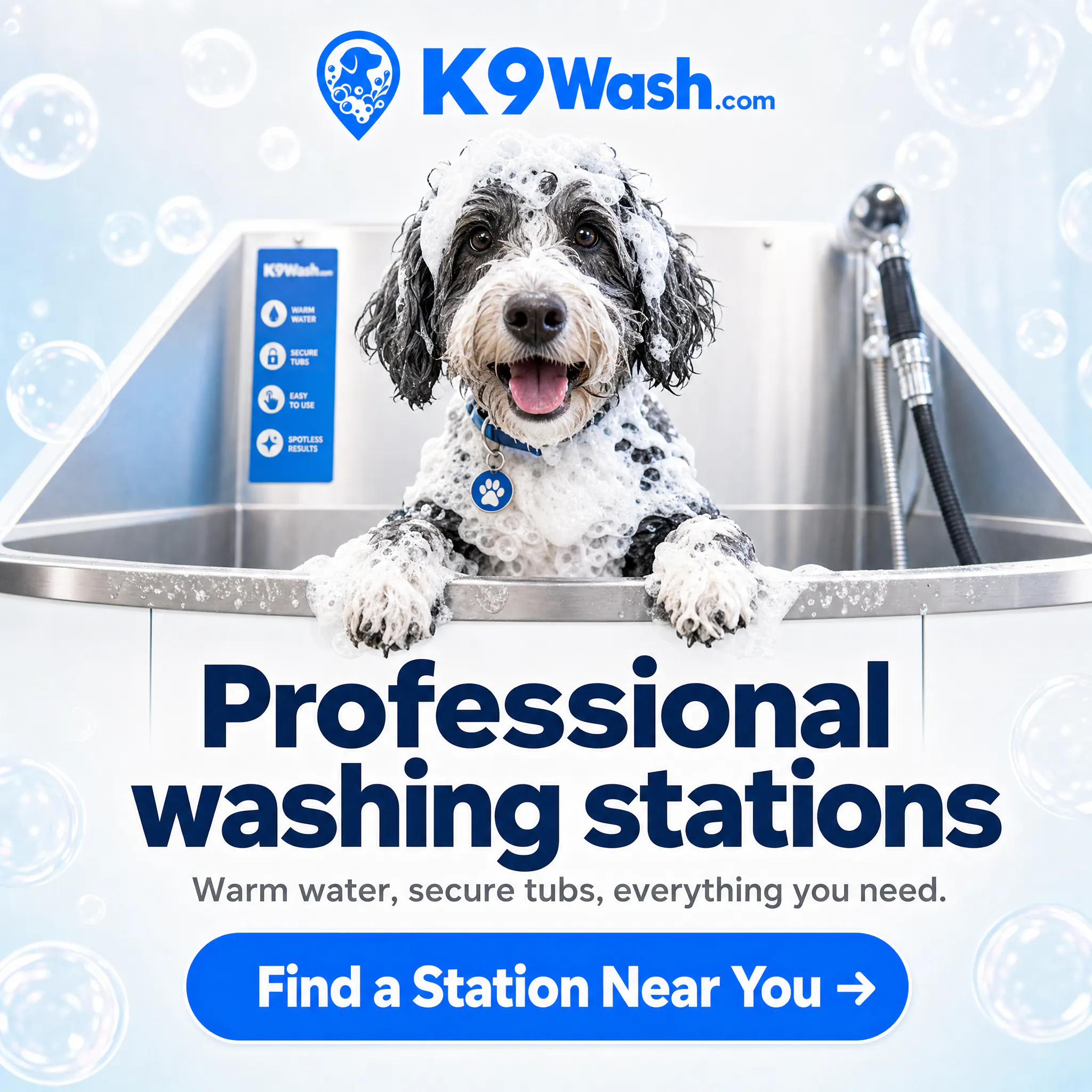 K9Wash - Self-Service Dog Wash Directory gallery image