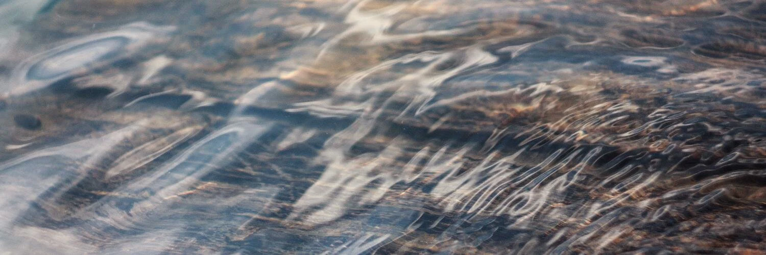 Jeremy Yamaguchi cover