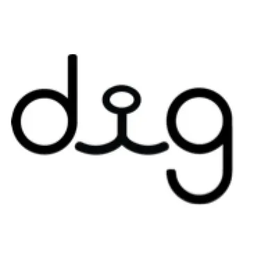 Dig