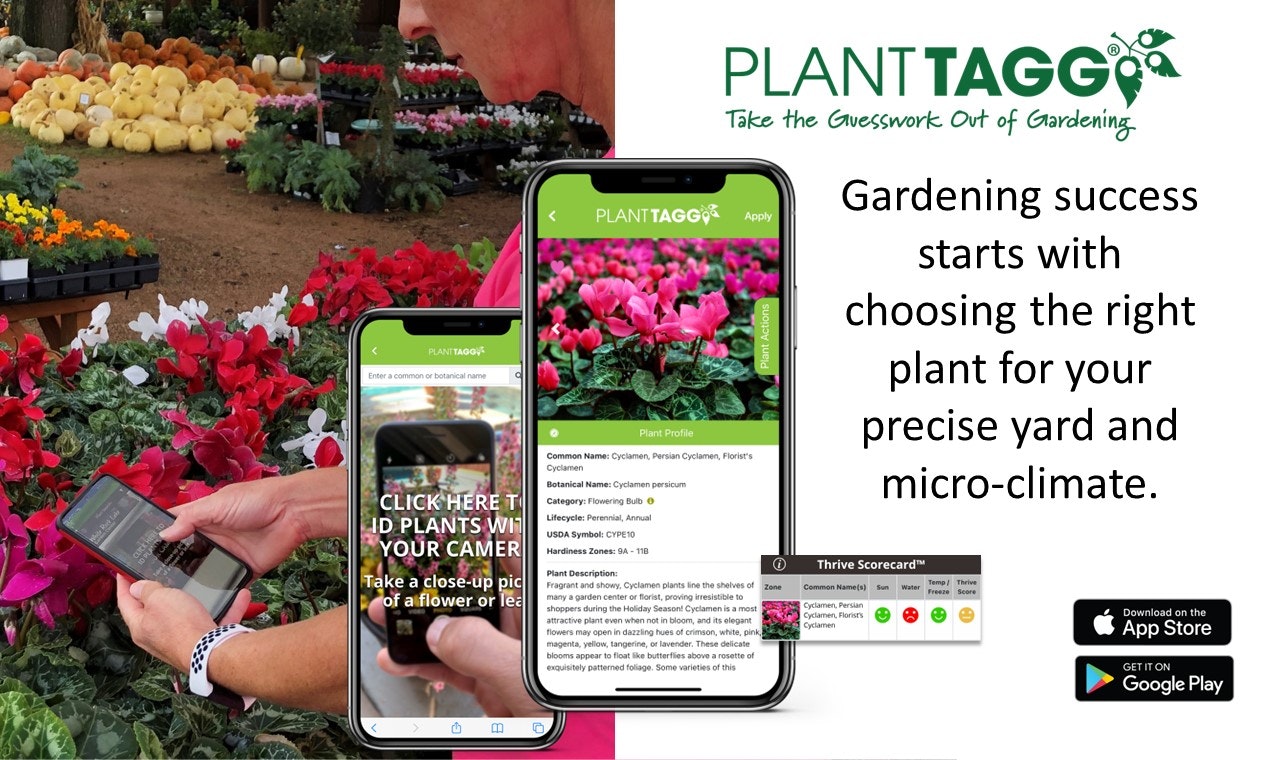 Planttagg - अनुमान को बागवानी से बाहर निकालें मीडिया 3