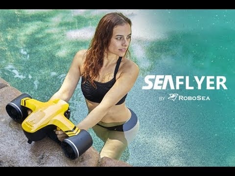 SeaFlyer gallery image