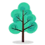 Sapling
