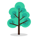 Sapling