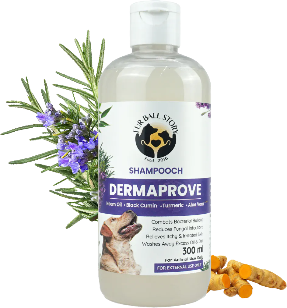 Dermaprove Antifungal Shampoo For Dogs 제품 배너