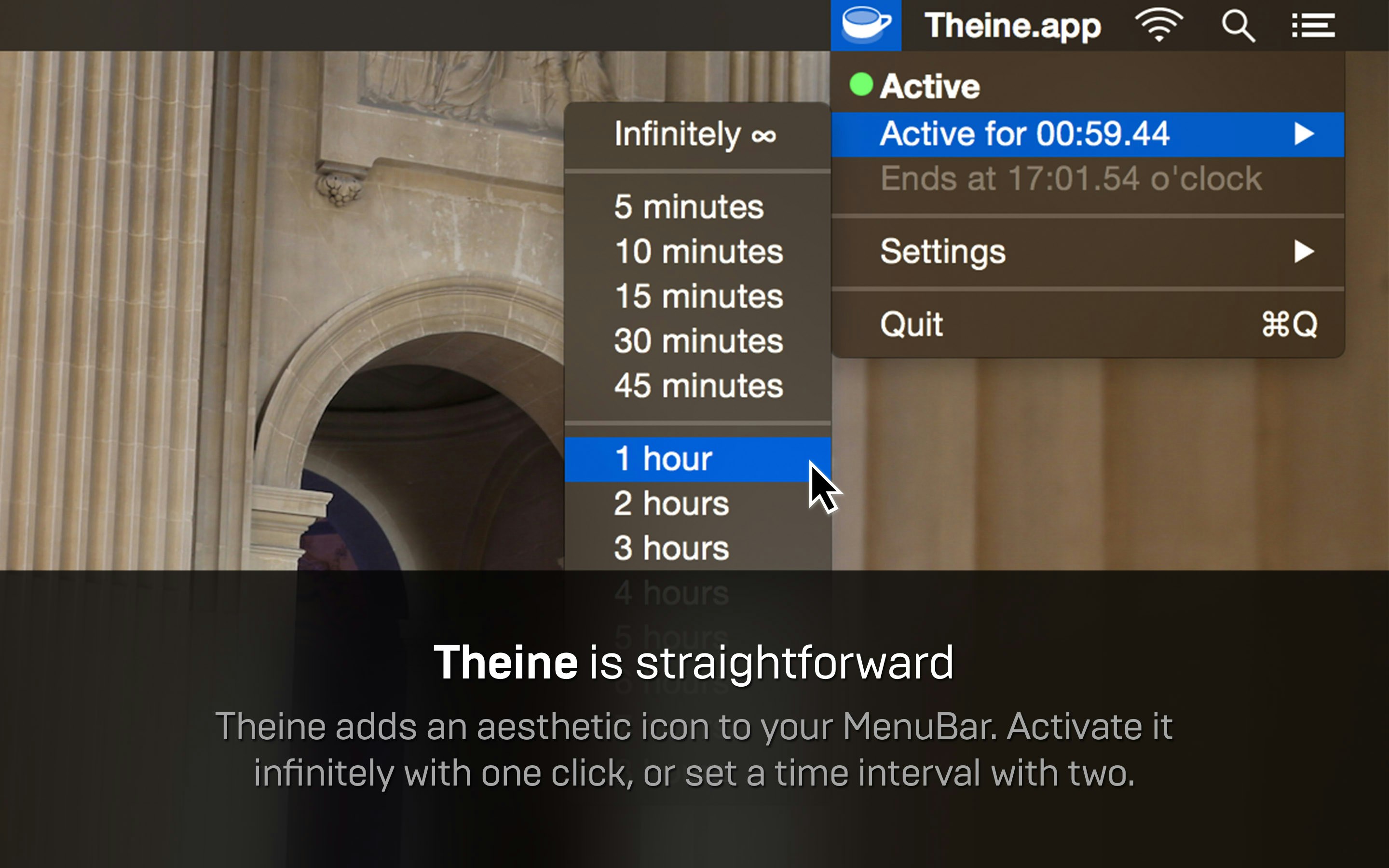 Theine gallery image