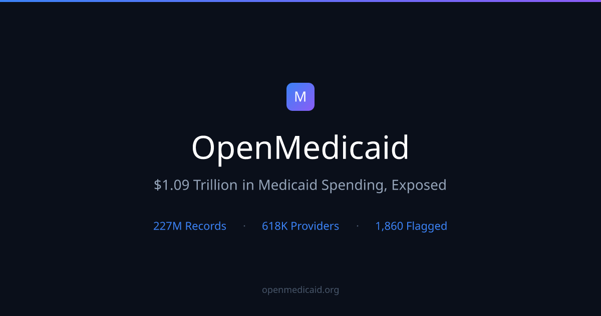 OpenMedicaid gallery image