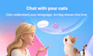 CatTrans