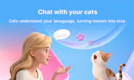 CatTrans