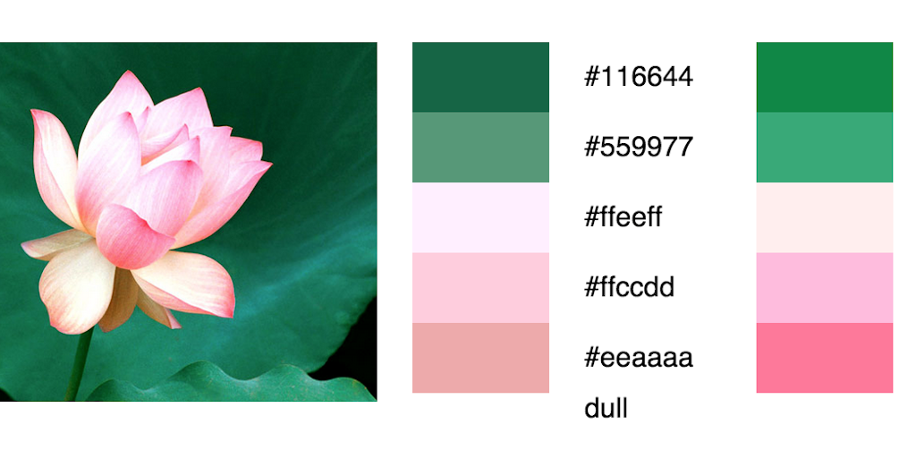 Color Palette Generator Image