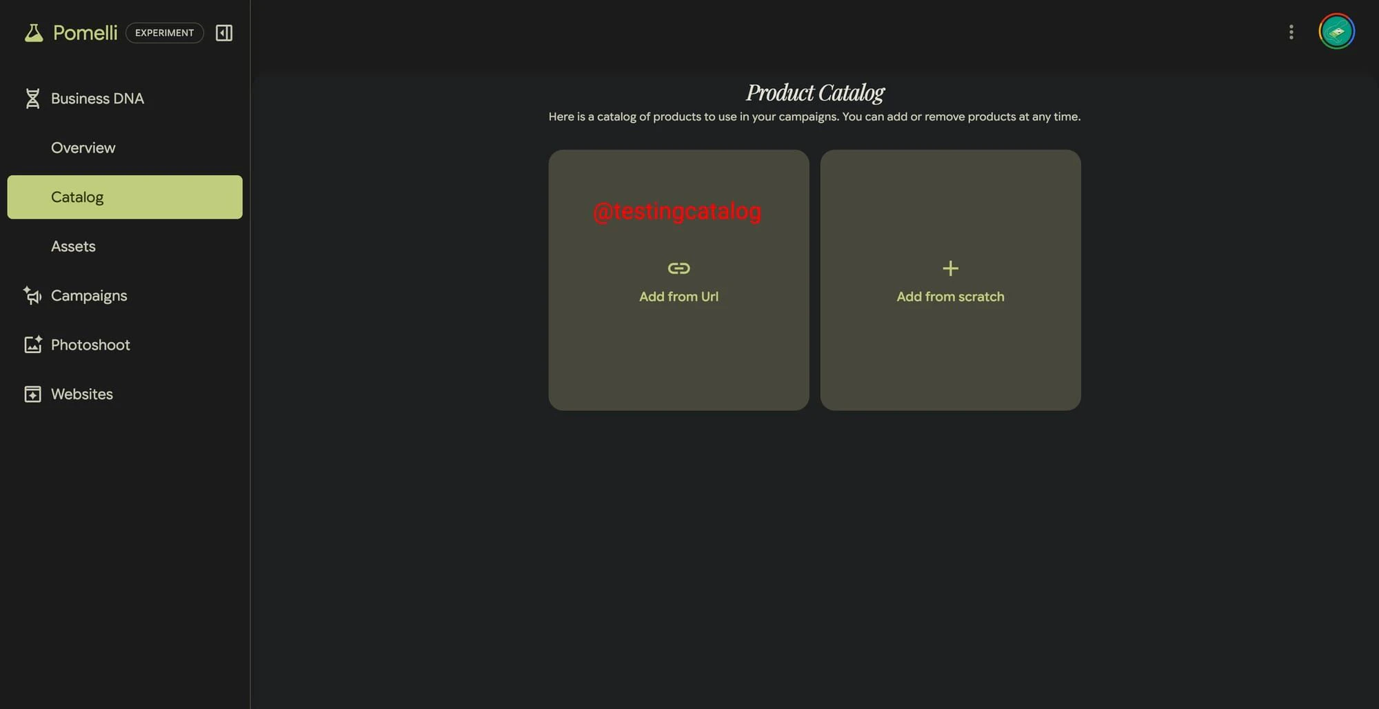 Google Pomelli Catalog  screenshot 2