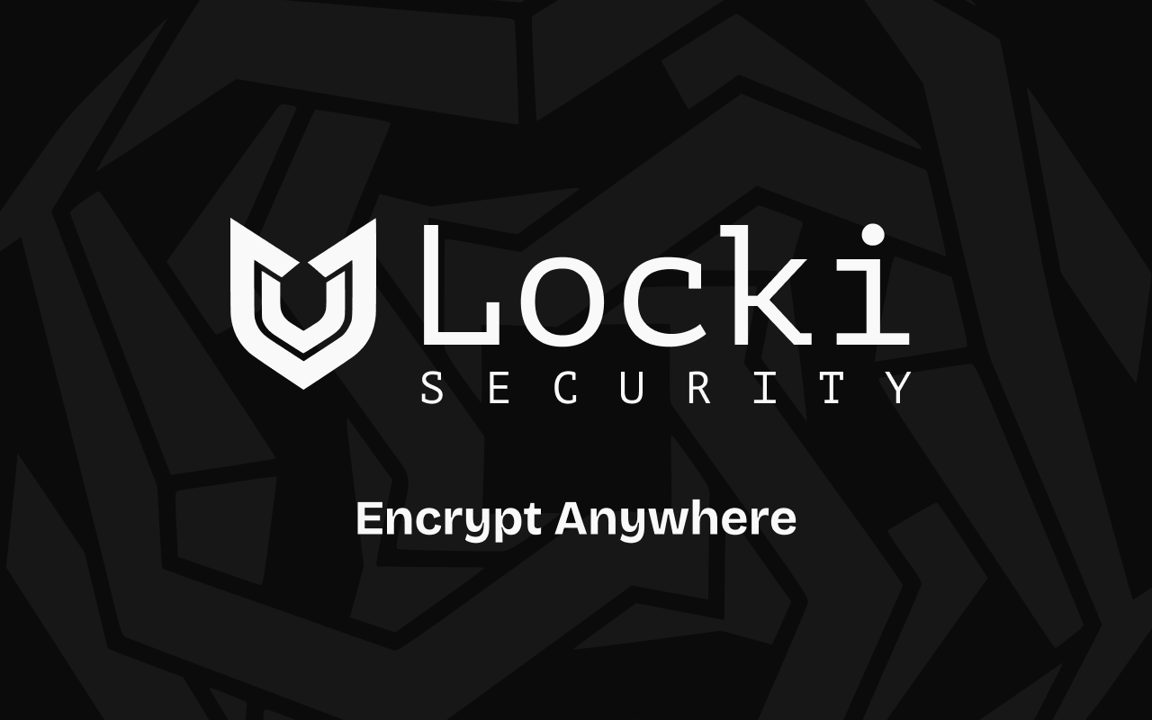 Locki Security gallery image