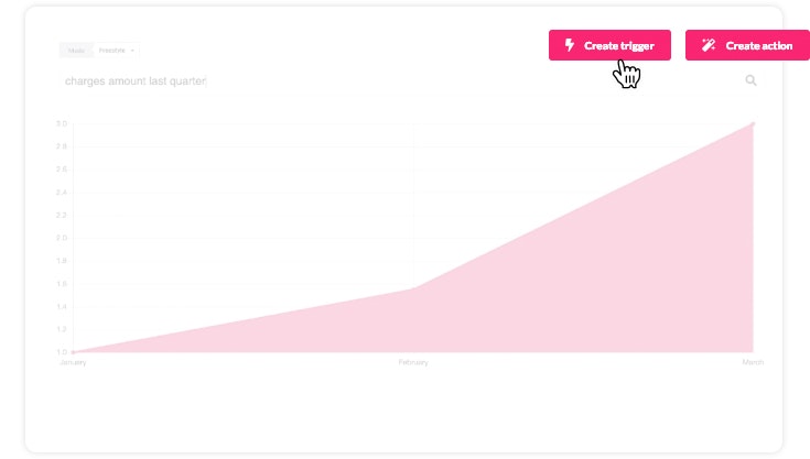 Squizz gallery image