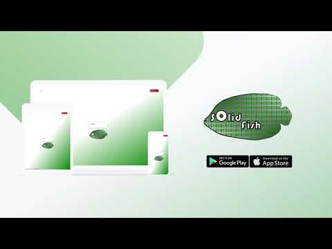 SolidFish gallery image