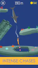 Dive gallery image