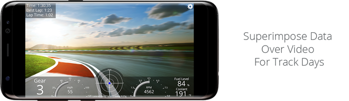 Kiwi 4 gallery image