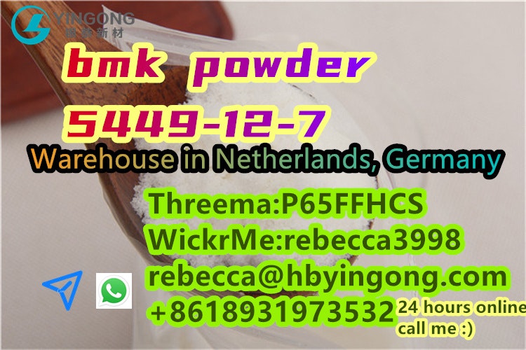  CAS 5449-12-7  bmk powder to germany media 6