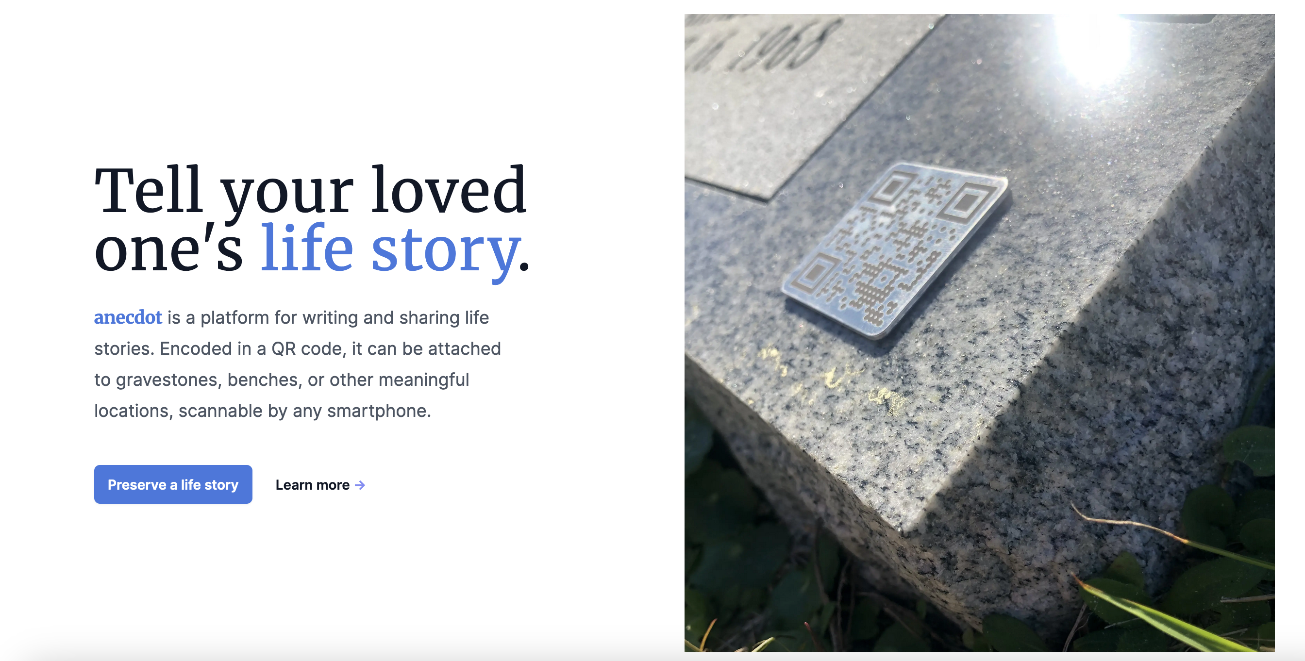 anecdot gallery image