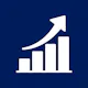 SelfBizz: Invoices & Analytics