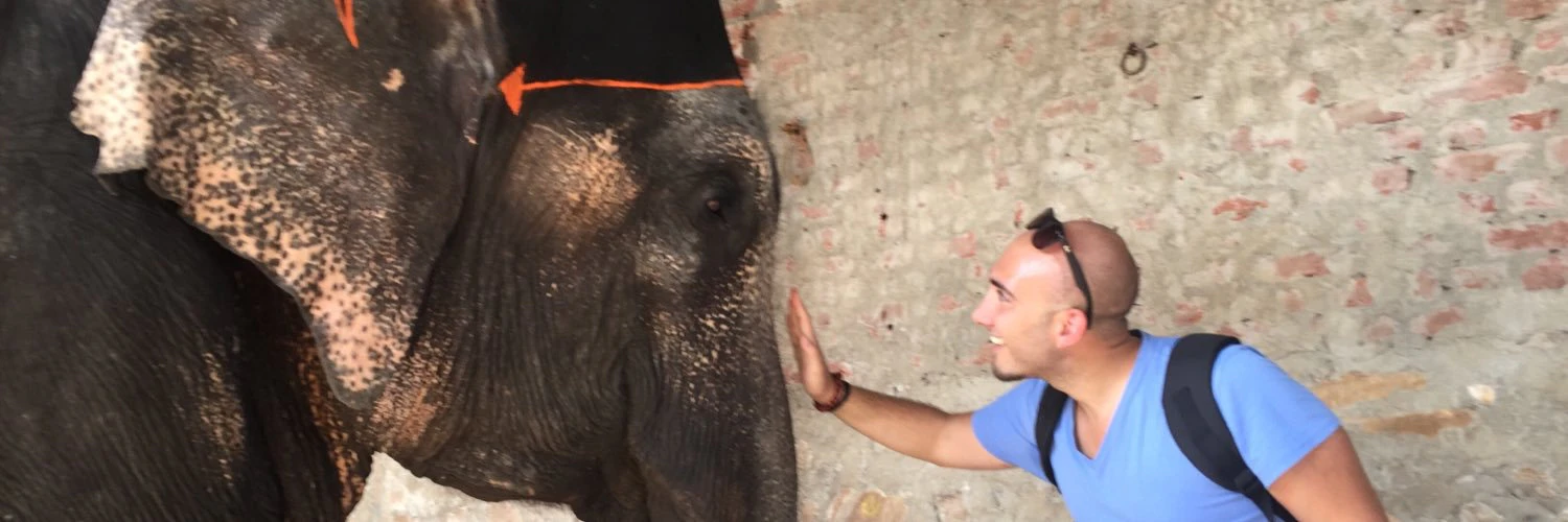 Manuel Frigerio cover