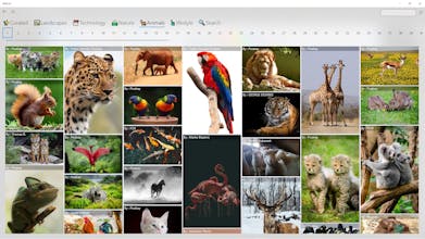 DeXcor- Desktop Background Changer gallery image