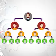 Binary MLM Software Plan - Software run gallery image