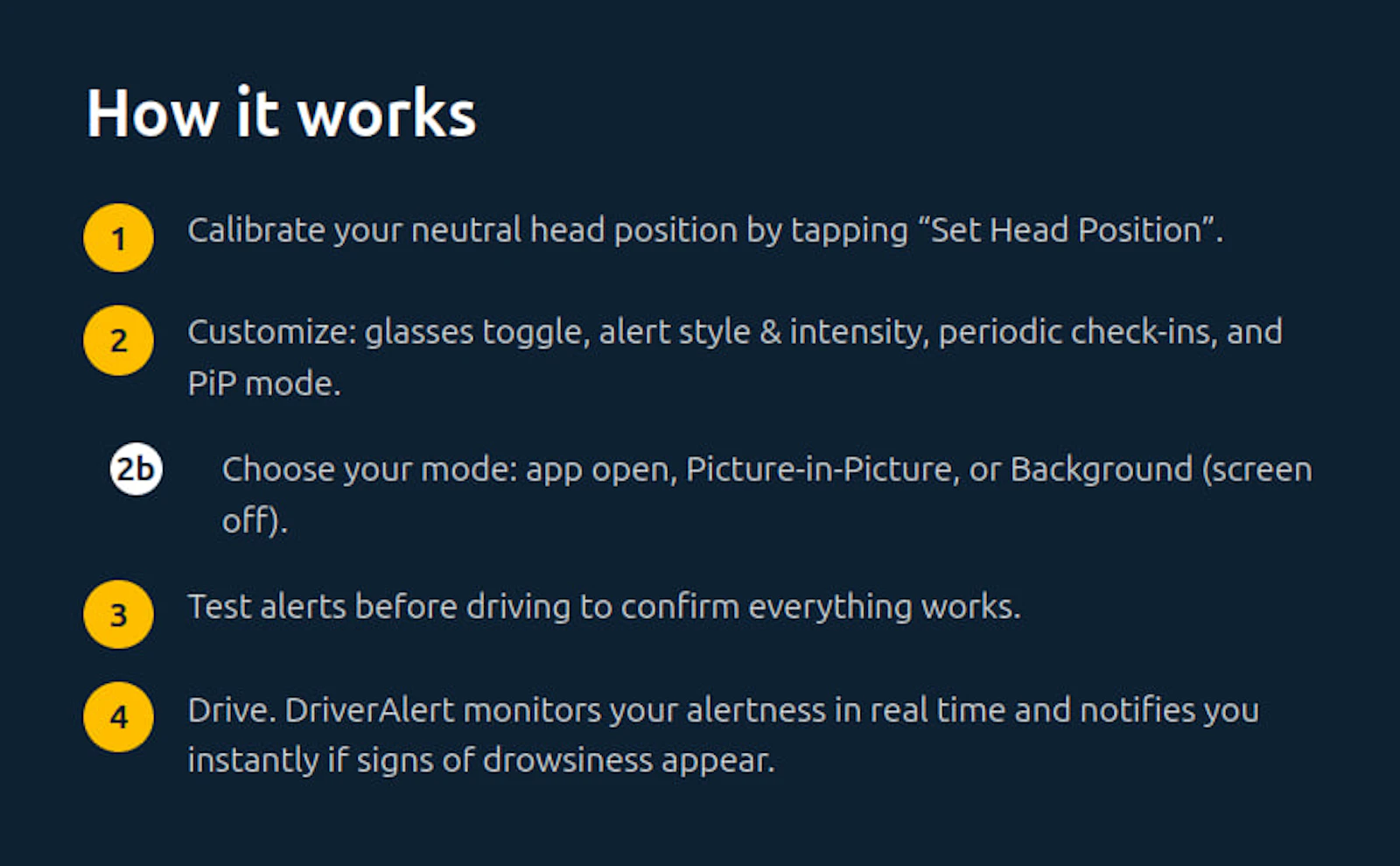 DriverAlert: Stay Awake! screenshot 2
