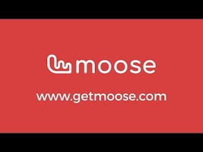 Moose gallery image