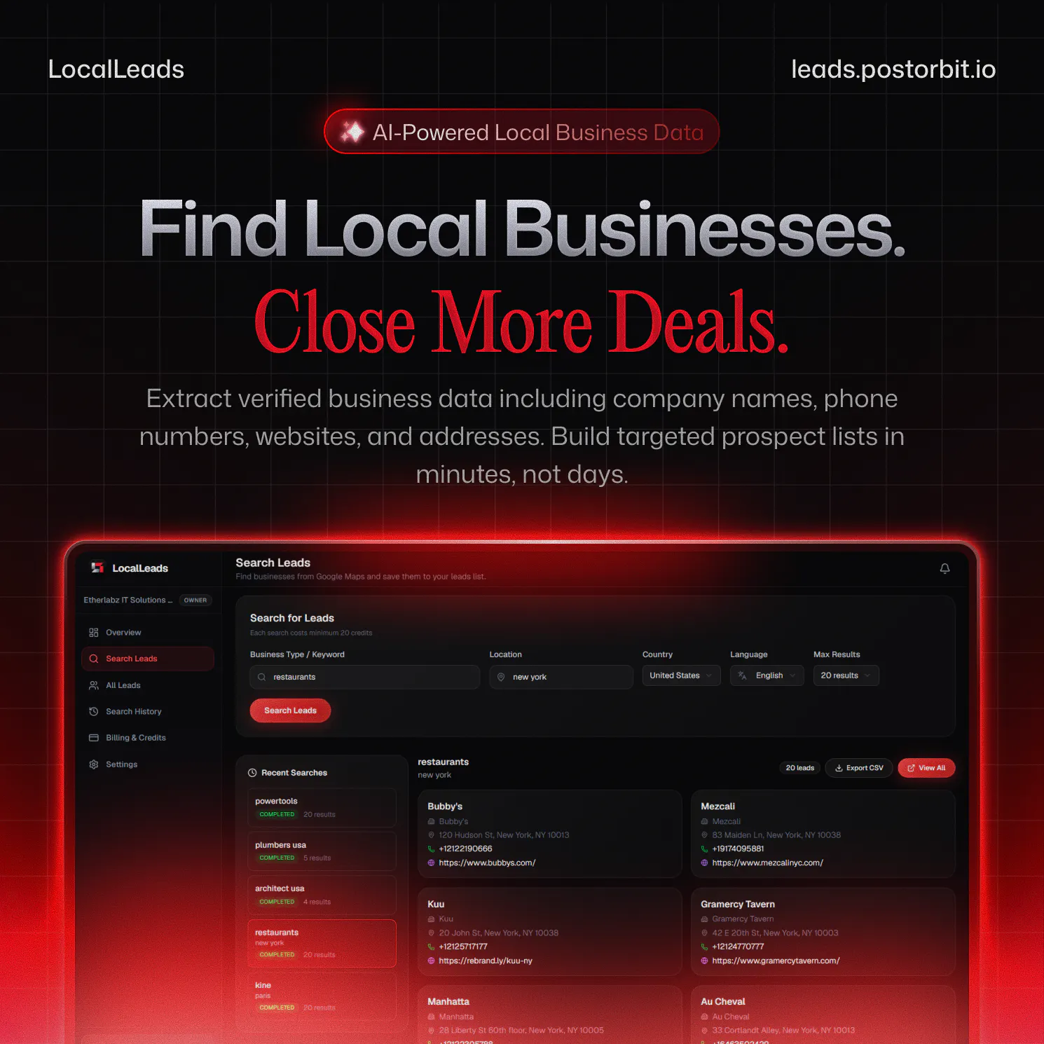 LocalLeads by PostOrbit gallery image