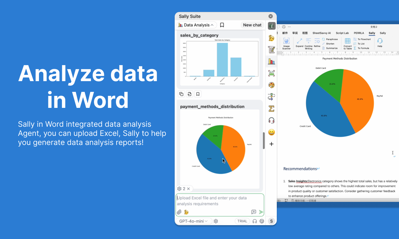 Sally Office Copilot - AI -Büro -Copilot für Google, Microsoft und WPS Medien 3