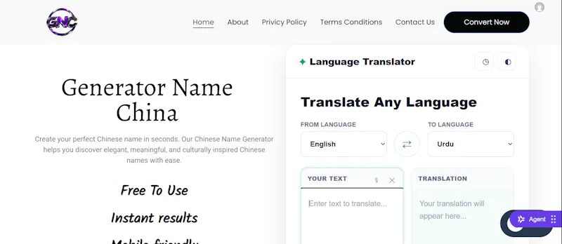 generatornamechina.com screenshot 1