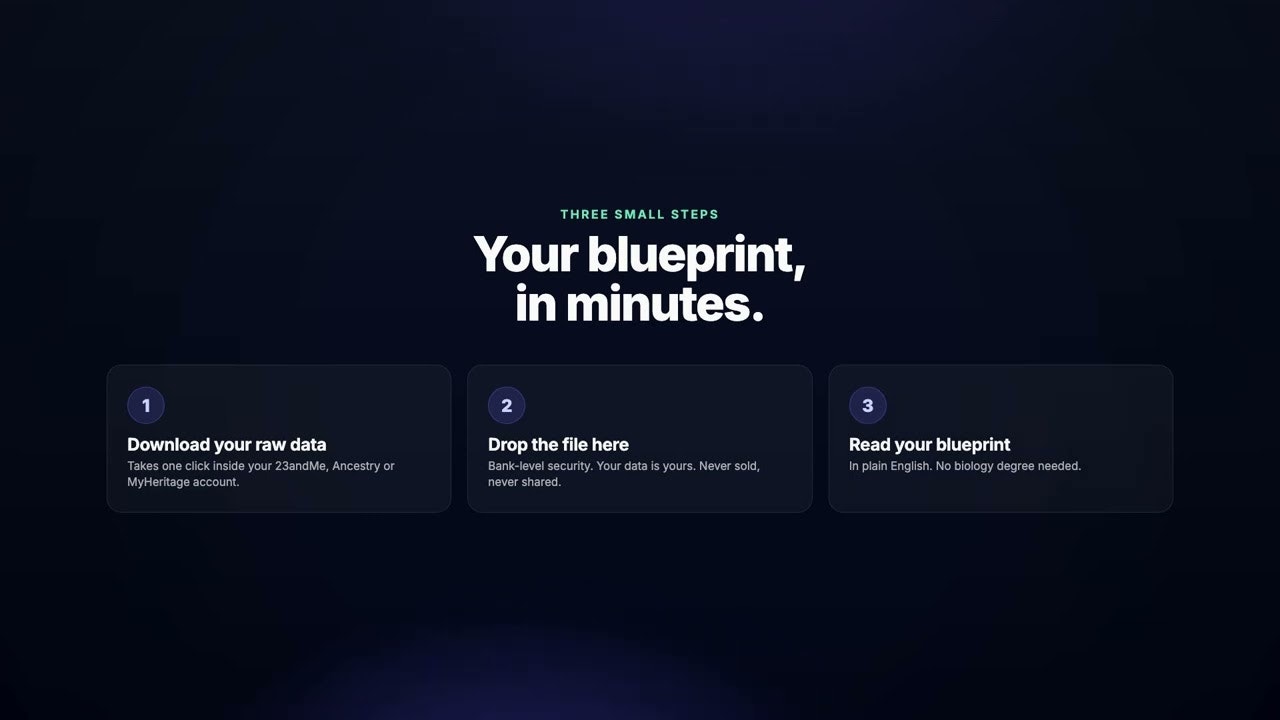 mybioblueprint.ai gallery image