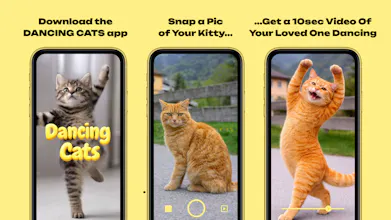DANCING CATS App gallery image