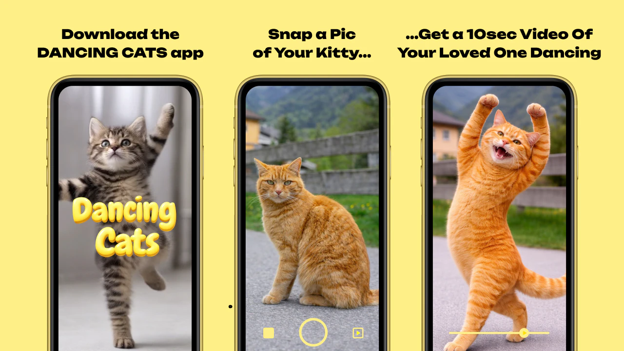 DANCING CATS App screenshot 1