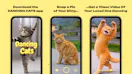DANCING CATS App
