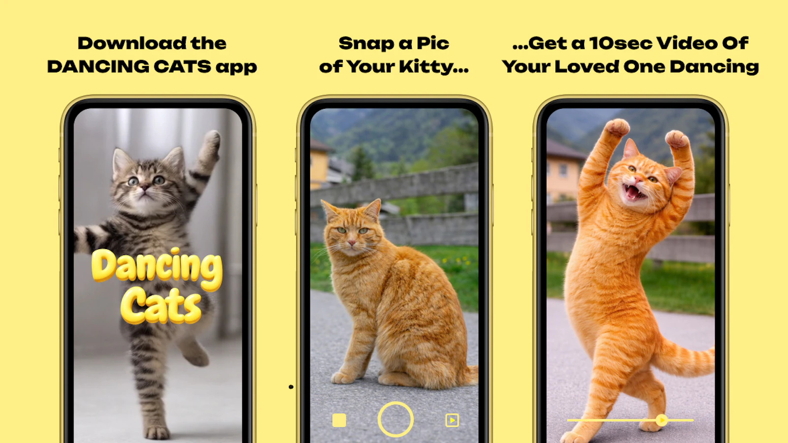 DANCING CATS App screenshot 1