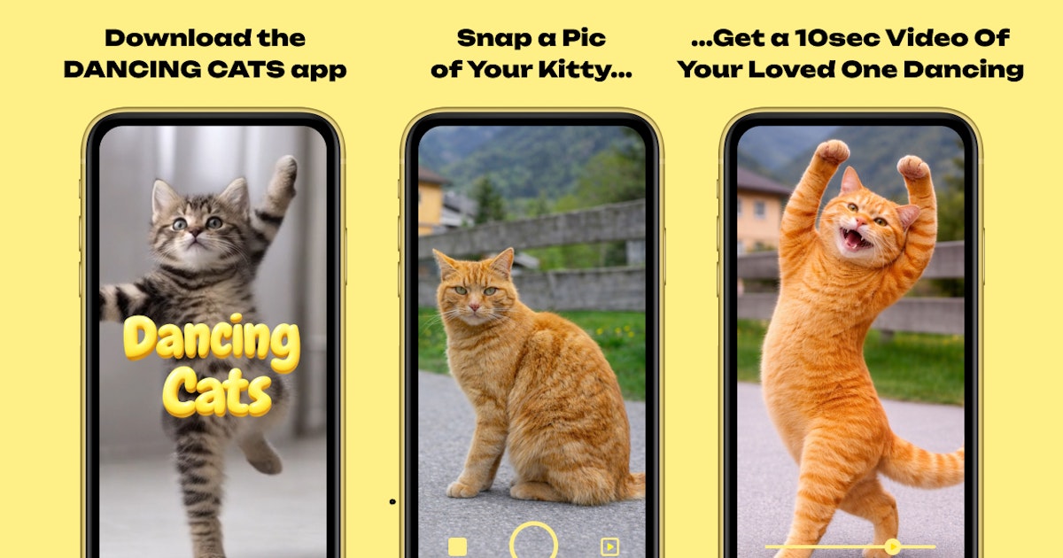 DANCING CATS App