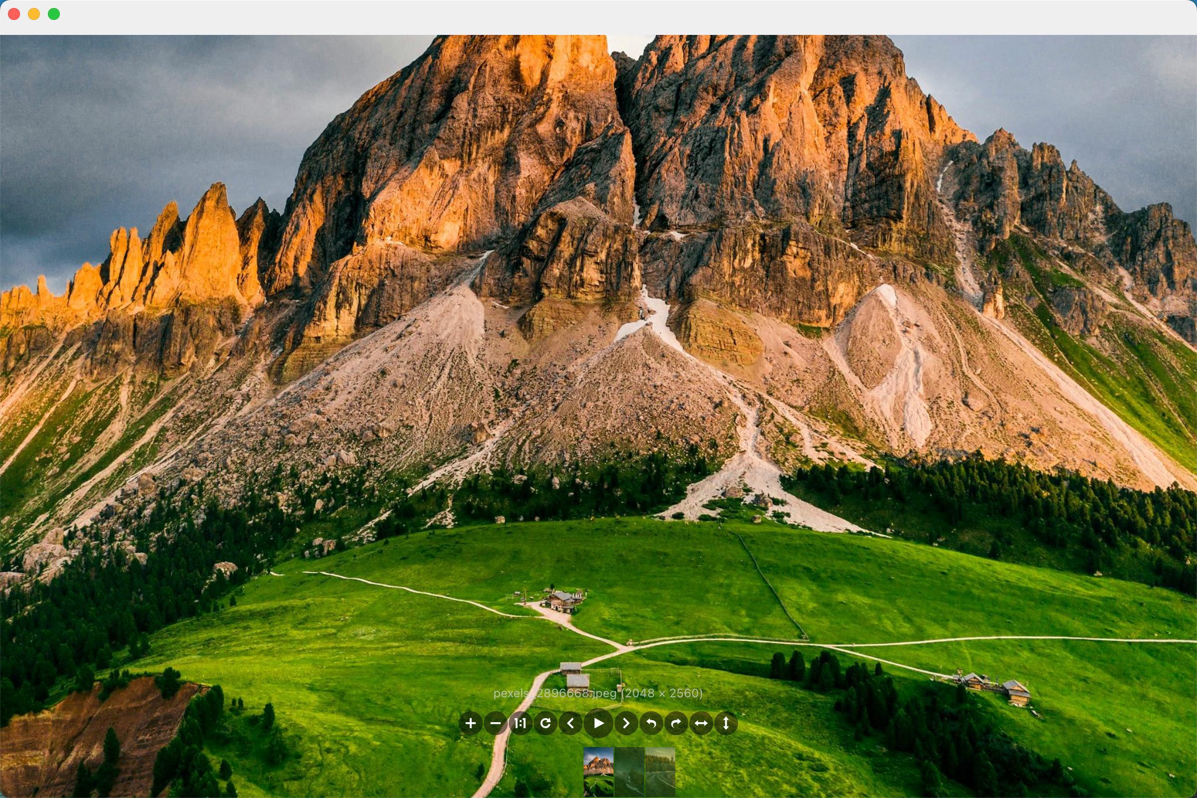 Flying Bird Wallpaper - Screenshot 3 showing product features and functionality