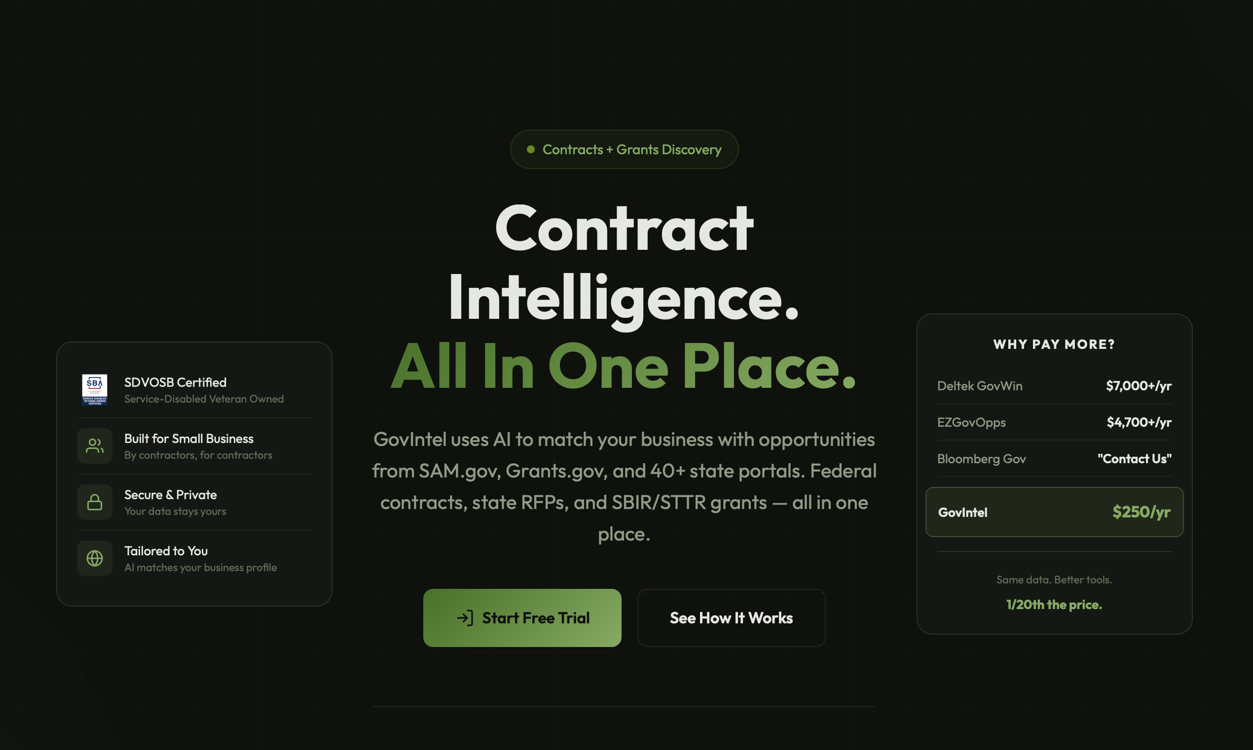 GovIntel.Ai gallery image