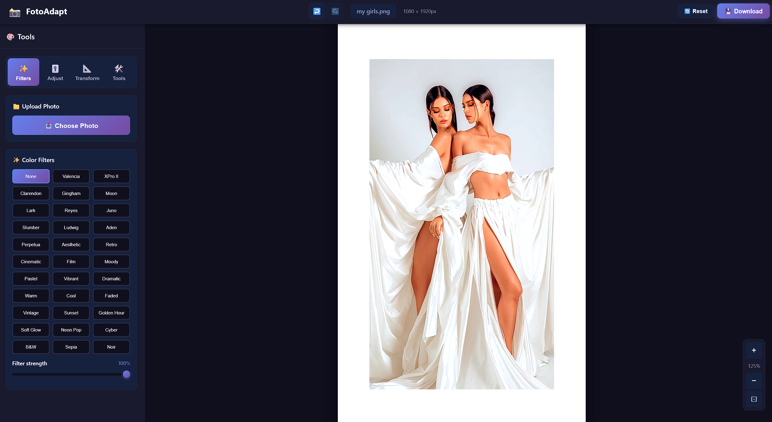 FotoAdapt - Main product screenshot demonstrating key features and user interface