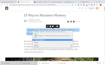 Memorai 🧠 gallery image