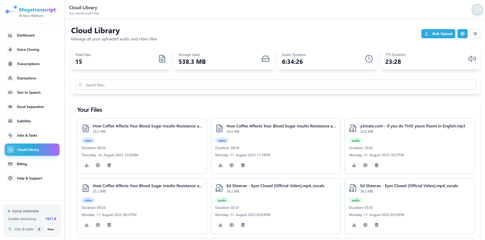 MegaTranscript AI Voice Studio gallery image