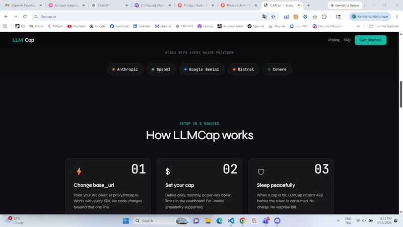 LLMCap screenshot 4