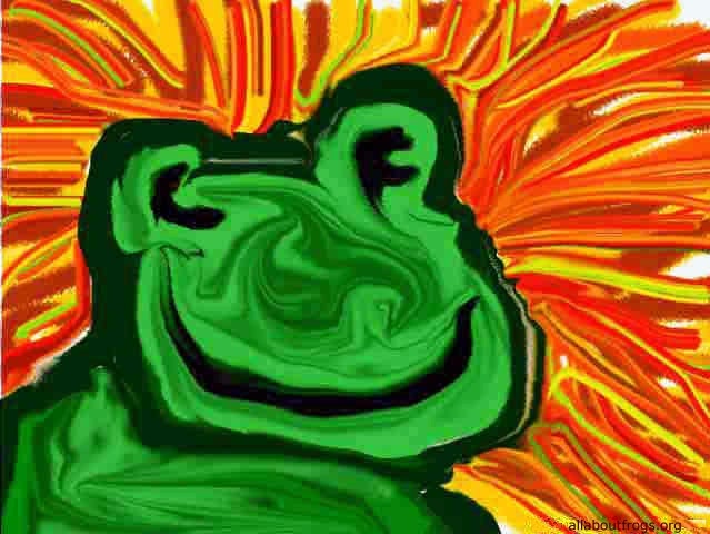 All About Frogs gallery image