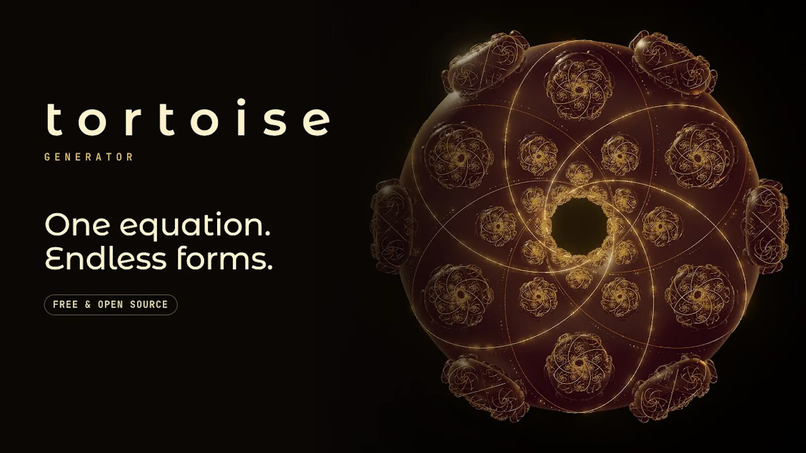 Tortoise screenshot 1 (video preview)
