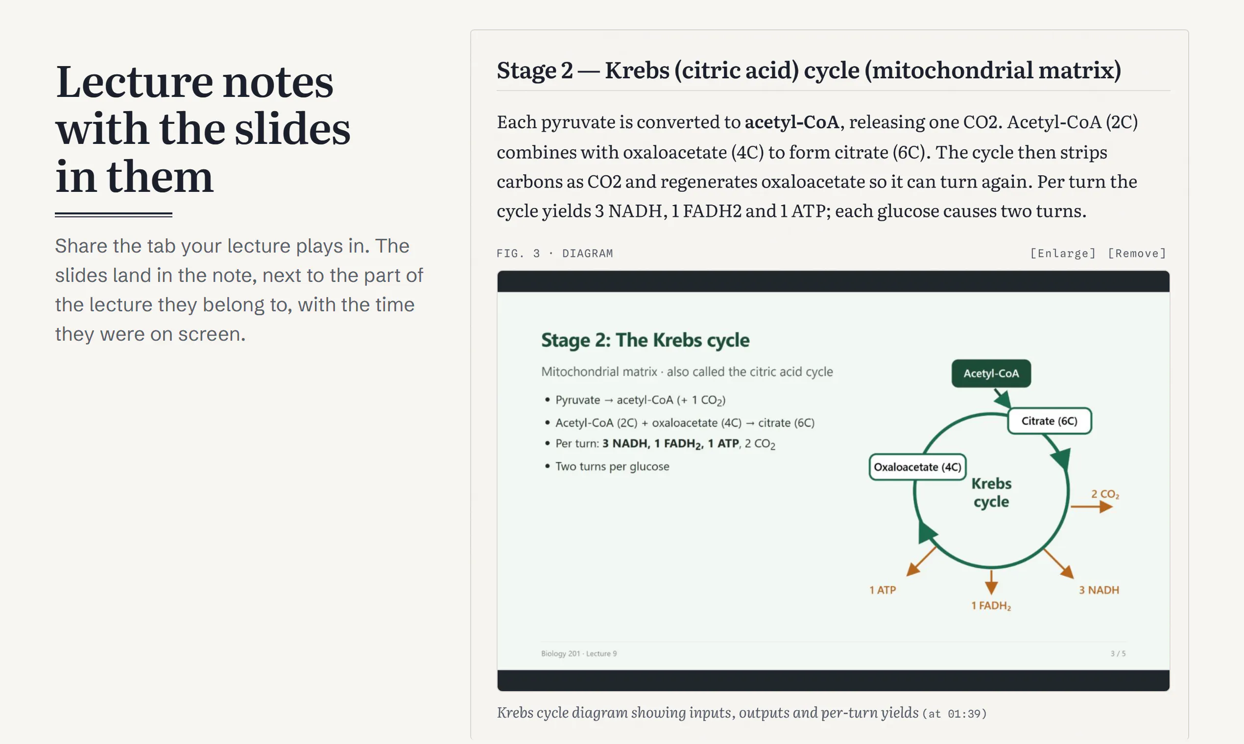 NoteAlong gallery image