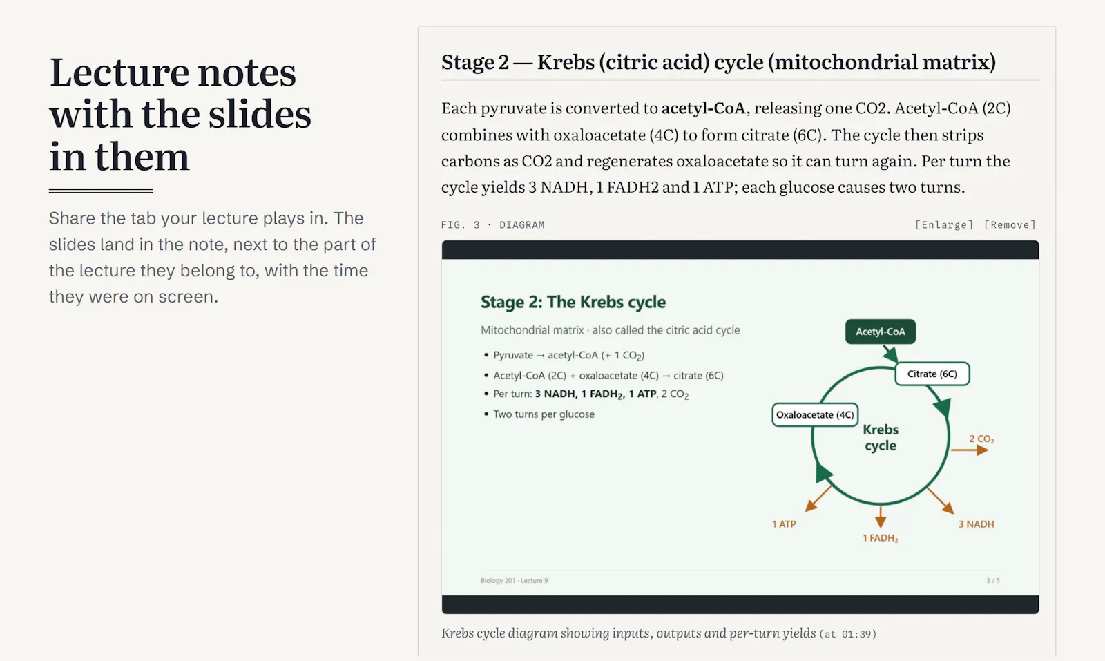 NoteAlong screenshot 2