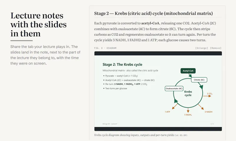 NoteAlong screenshot 2
