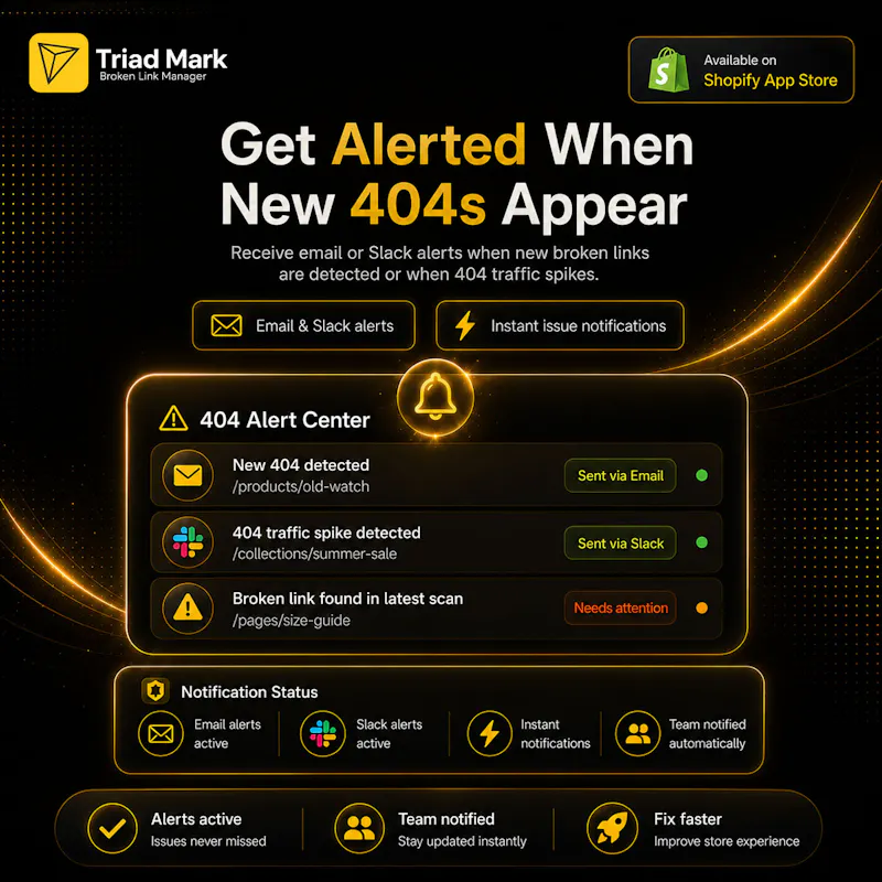 TM AI Broken Link Manager screenshot 9