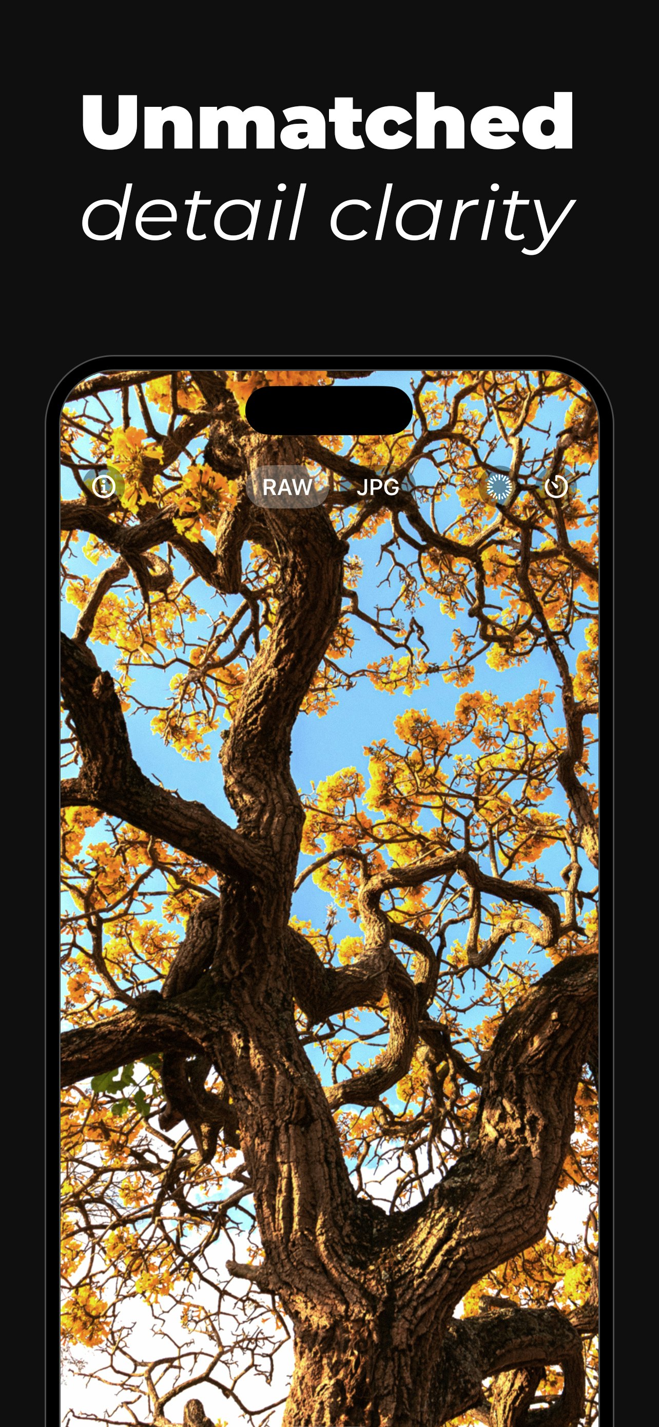 وسائط Pureraw - ما ترى الكاميرا - صفر HDR. تعديلات الصفر. 5